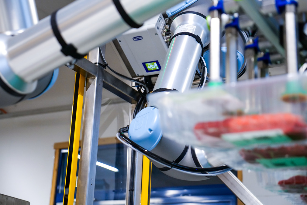 The Compact Pump GCPi has a user-friendly LCD touch display for setting the most important process parameters.